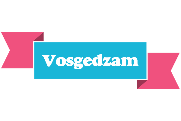 Vosgedzam today logo