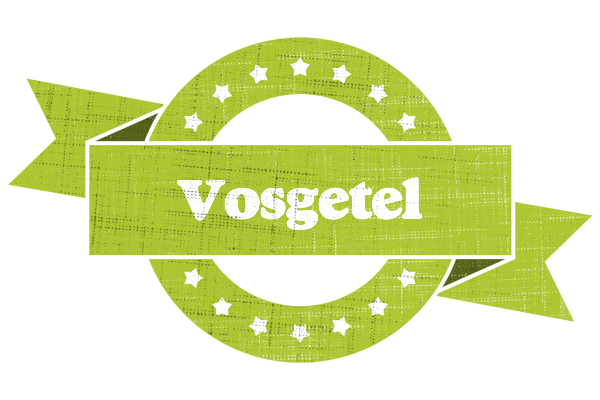 Vosgetel change logo