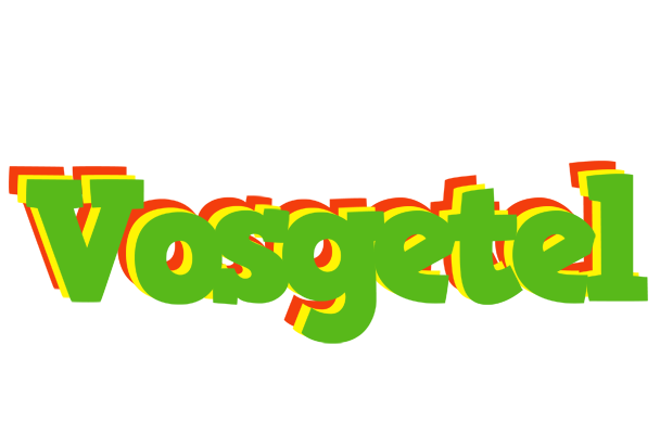 Vosgetel crocodile logo