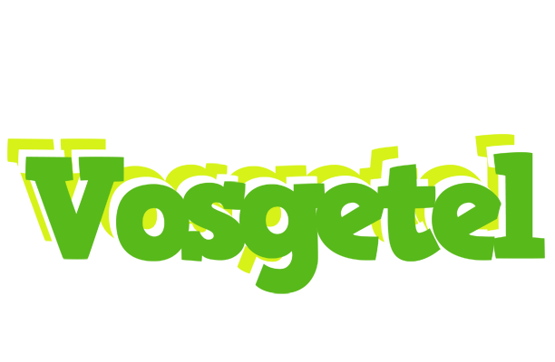 Vosgetel picnic logo