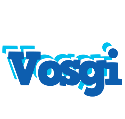 Vosgi business logo