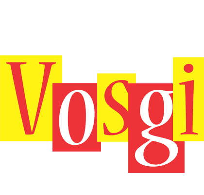 Vosgi errors logo