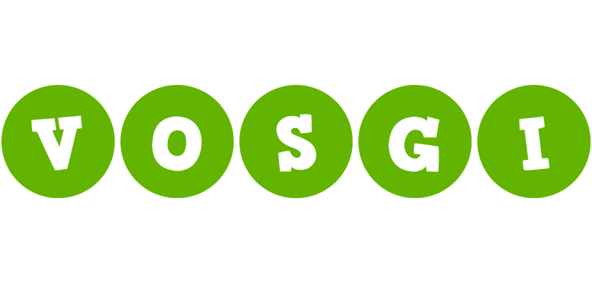 Vosgi games logo