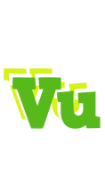 Vu picnic logo