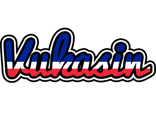 Vukasin france logo
