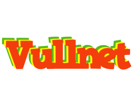 Vullnet bbq logo