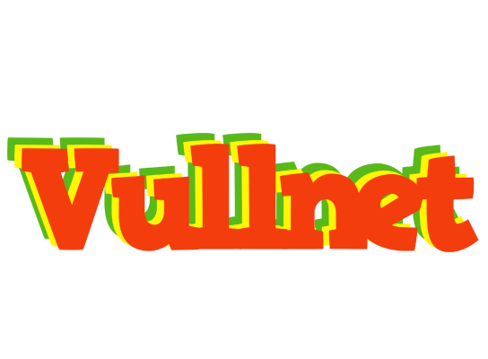Vullnet bbq logo