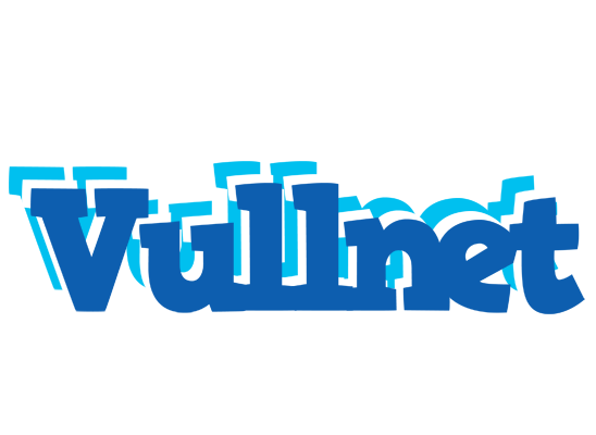 Vullnet business logo