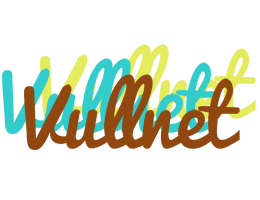Vullnet cupcake logo