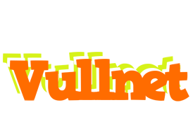 Vullnet healthy logo