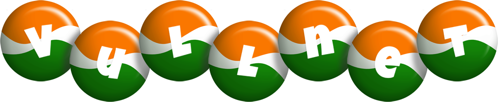 Vullnet india logo