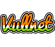 Vullnet mumbai logo