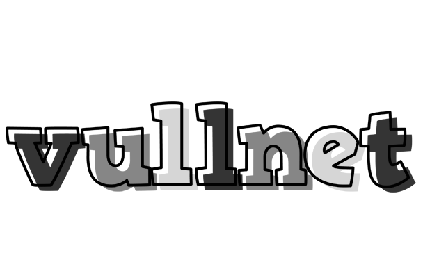 Vullnet night logo