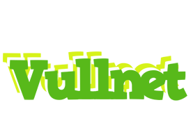 Vullnet picnic logo
