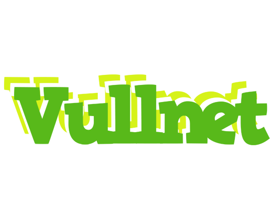 Vullnet picnic logo