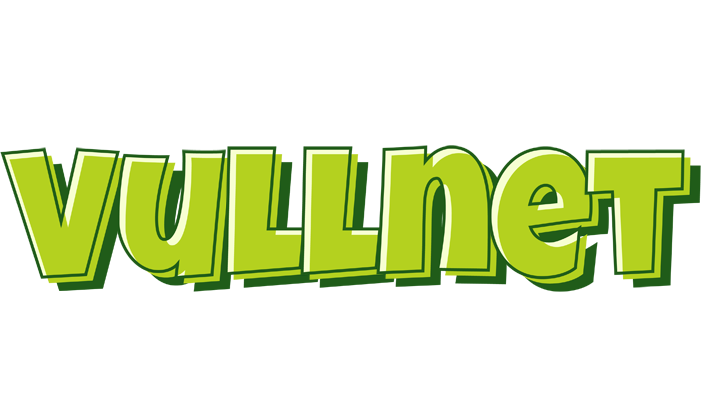 Vullnet summer logo