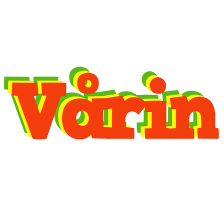 Vårin bbq logo