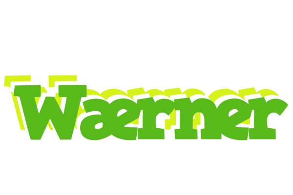 Wærner picnic logo