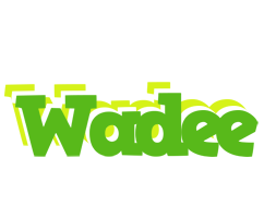 Wadee picnic logo