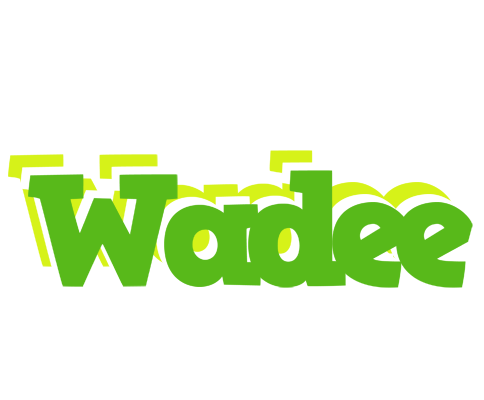 Wadee picnic logo