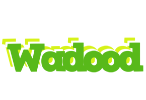 Wadood picnic logo