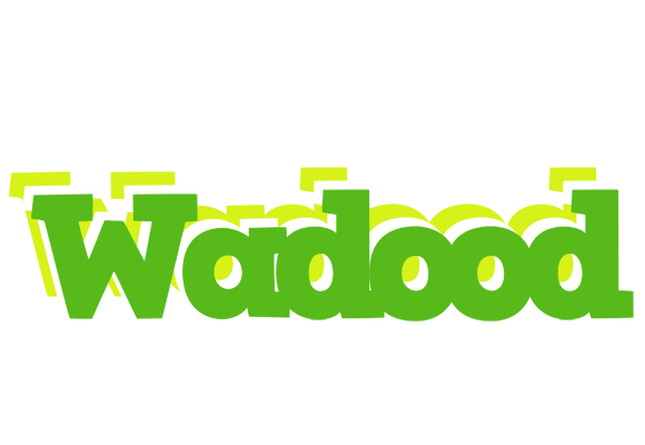 Wadood picnic logo