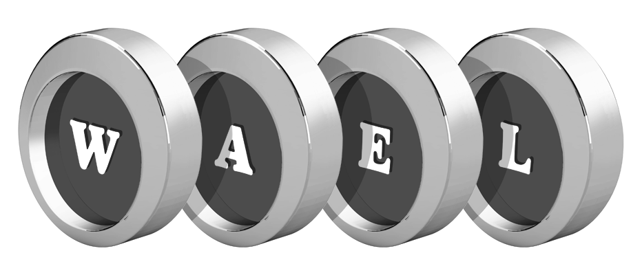 Wael coins logo