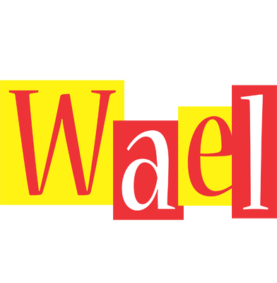 Wael errors logo