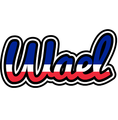 Wael france logo