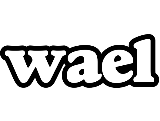 Wael panda logo