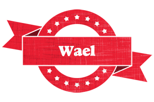 Wael passion logo