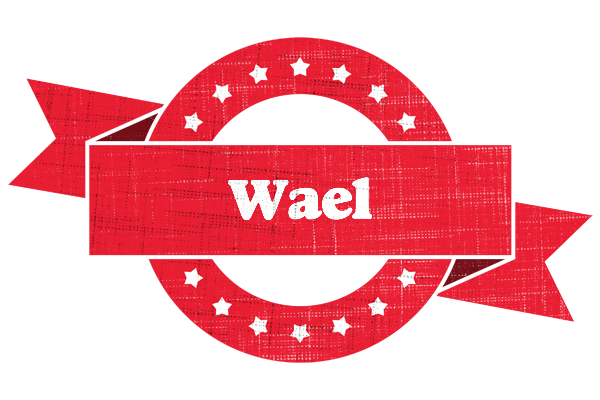 Wael passion logo