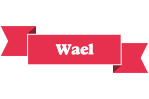 Wael sale logo