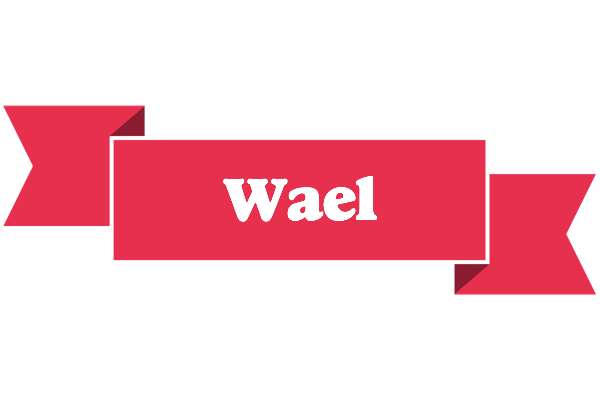 Wael sale logo