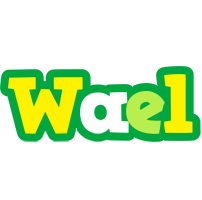 Wael soccer logo