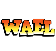 Wael sunset logo