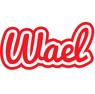 Wael sunshine logo