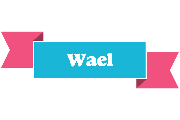 Wael today logo