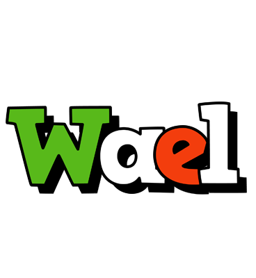 Wael venezia logo