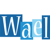 Wael winter logo