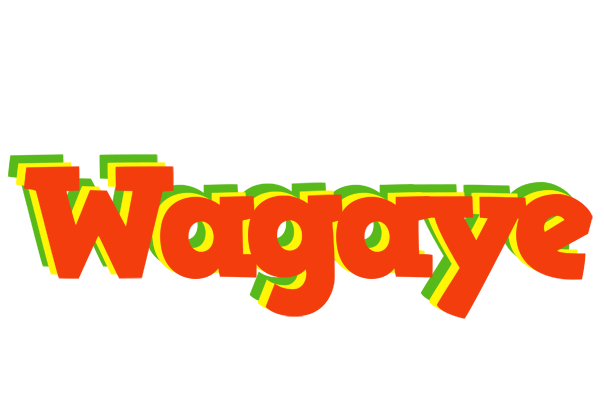Wagaye bbq logo