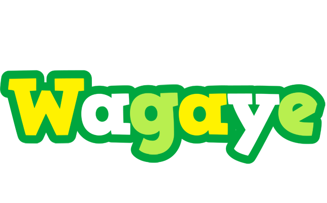 Wagaye soccer logo
