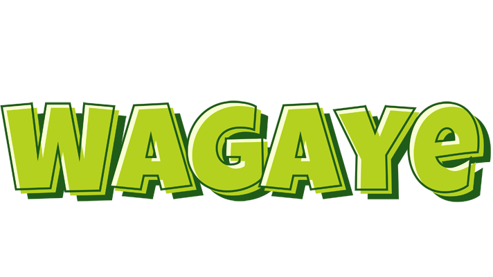 Wagaye summer logo