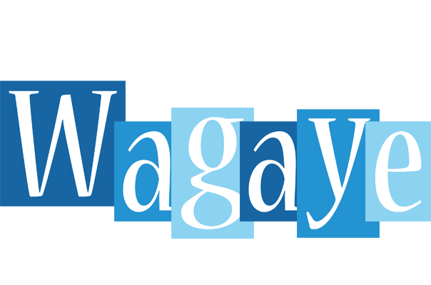 Wagaye winter logo