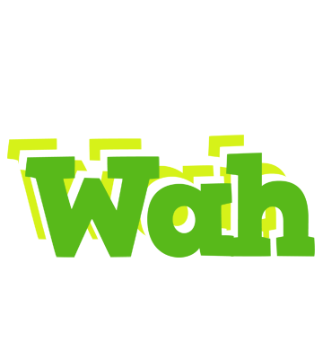 Wah picnic logo