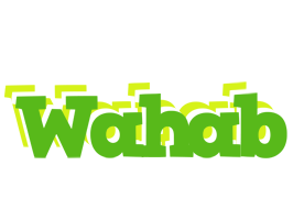 Wahab picnic logo