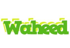 Waheed picnic logo