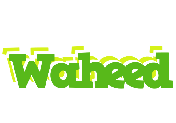 Waheed picnic logo