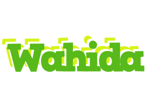 Wahida picnic logo