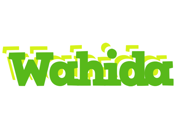 Wahida picnic logo